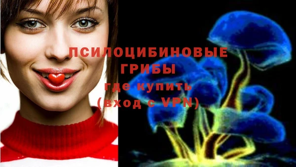 гашик Гусев