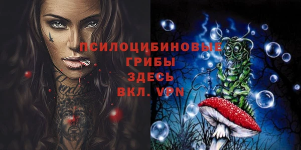 ГАЛЛЮЦИНОГЕННЫЕ ГРИБЫ Горнозаводск