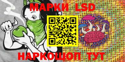 apvp Заводоуковск