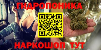 гашик Заволжье