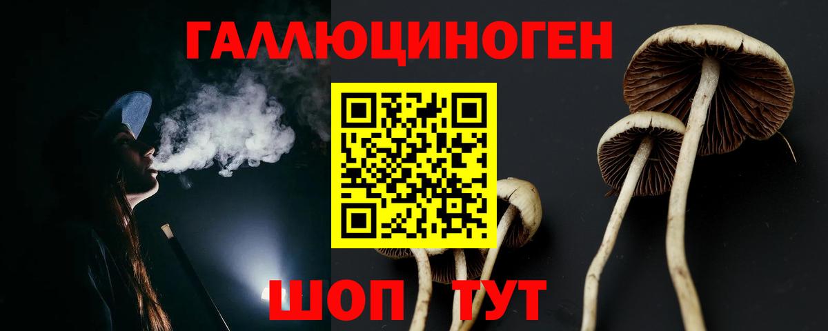 Галлюциногенные грибы мицелий  Галлюциногенные грибы ЛСД  Отрадный  Вход с VPN 
